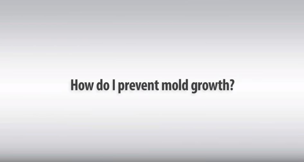 How Do I Prevent Mold Growth In Bathrooms?