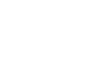 84% SRE Icon